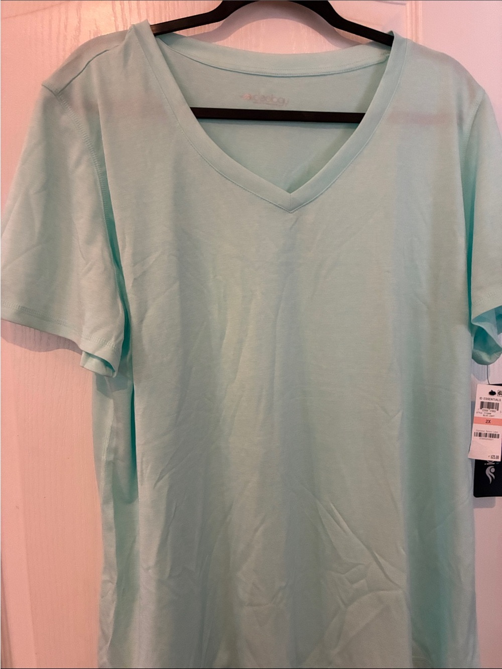 Ideology Women’s V-Neck Tee in Mint